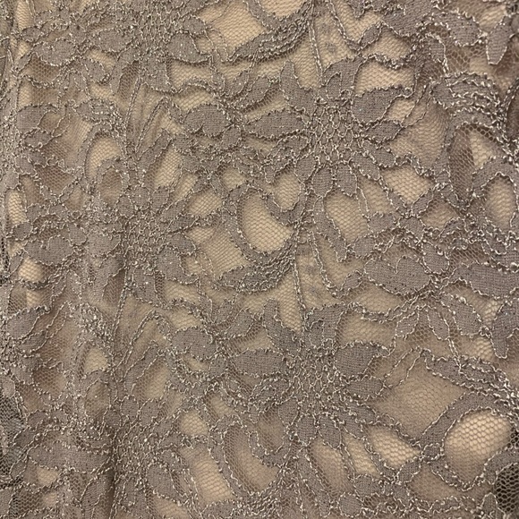 Sparkly Lace Cocktail Evening Party Dress - Picture 3 of 3